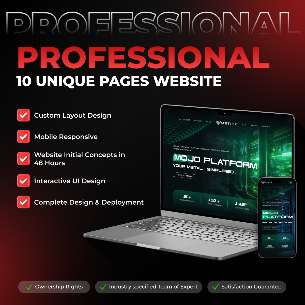 03-web-professional-rev